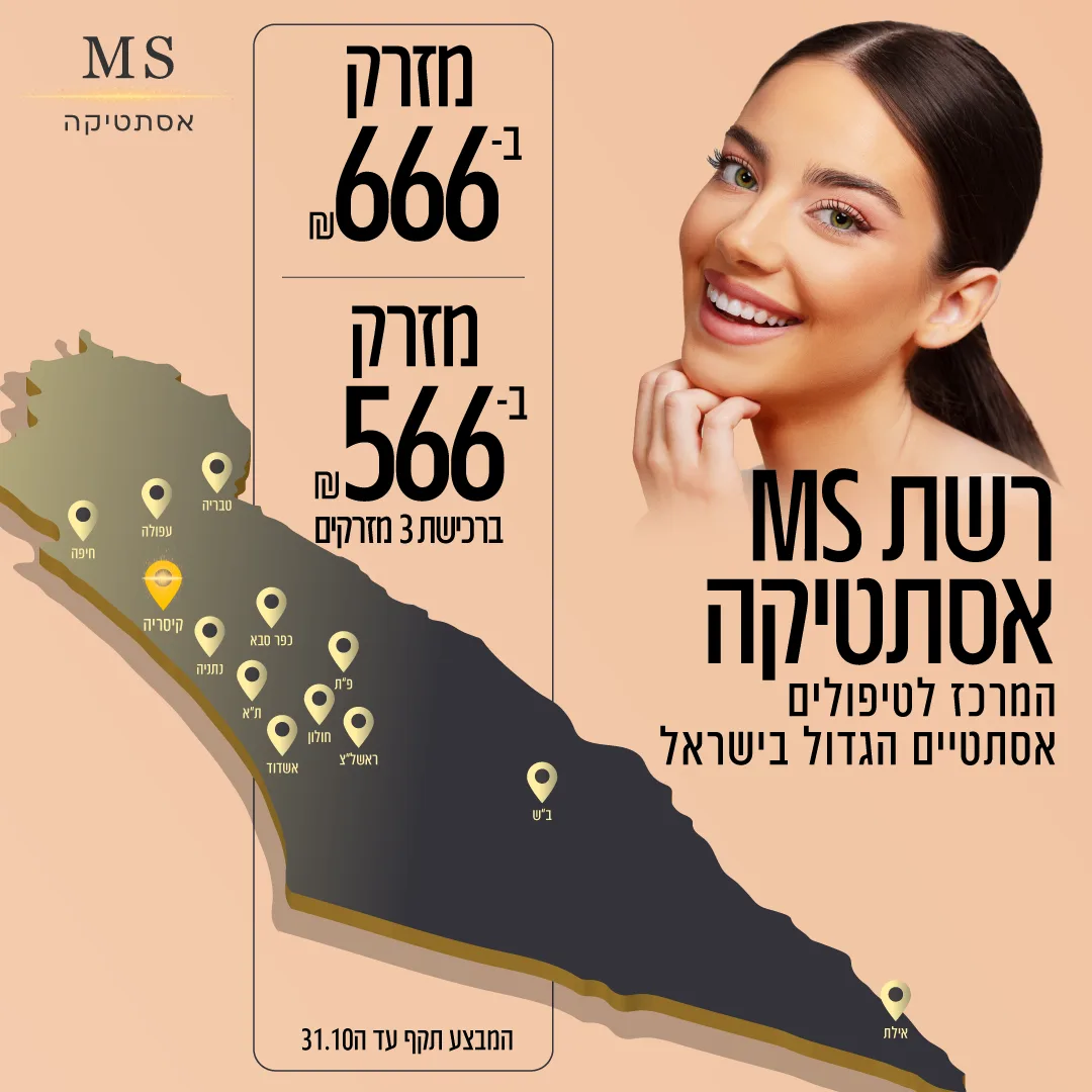 large-ms אסטטיקה-05 (3)